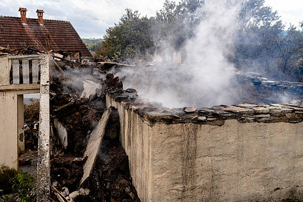 Professional Odor Removal technician working in Palmyra, WI